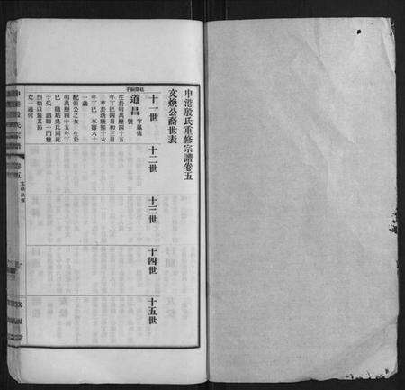 江苏殷氏族谱-申港殷氏宗谱.pdf电子版预览图1