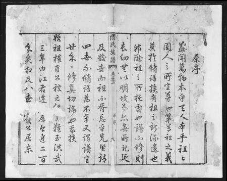 湖北誾氏族谱-誾氏族谱.pdf电子版预览图5
