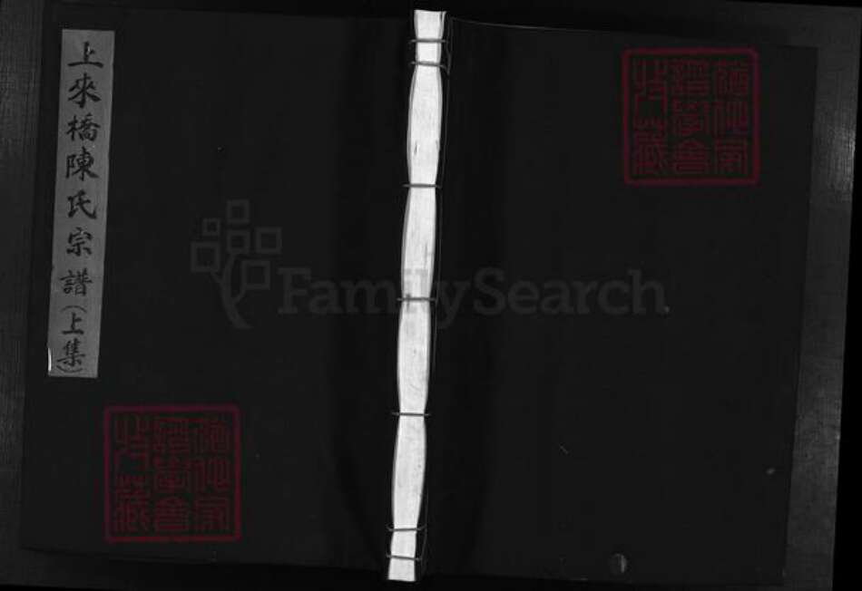 浙江省温州市乐清市陈氏族谱-上来桥陈氏宗谱 [上下集].pdf电子版缩略图