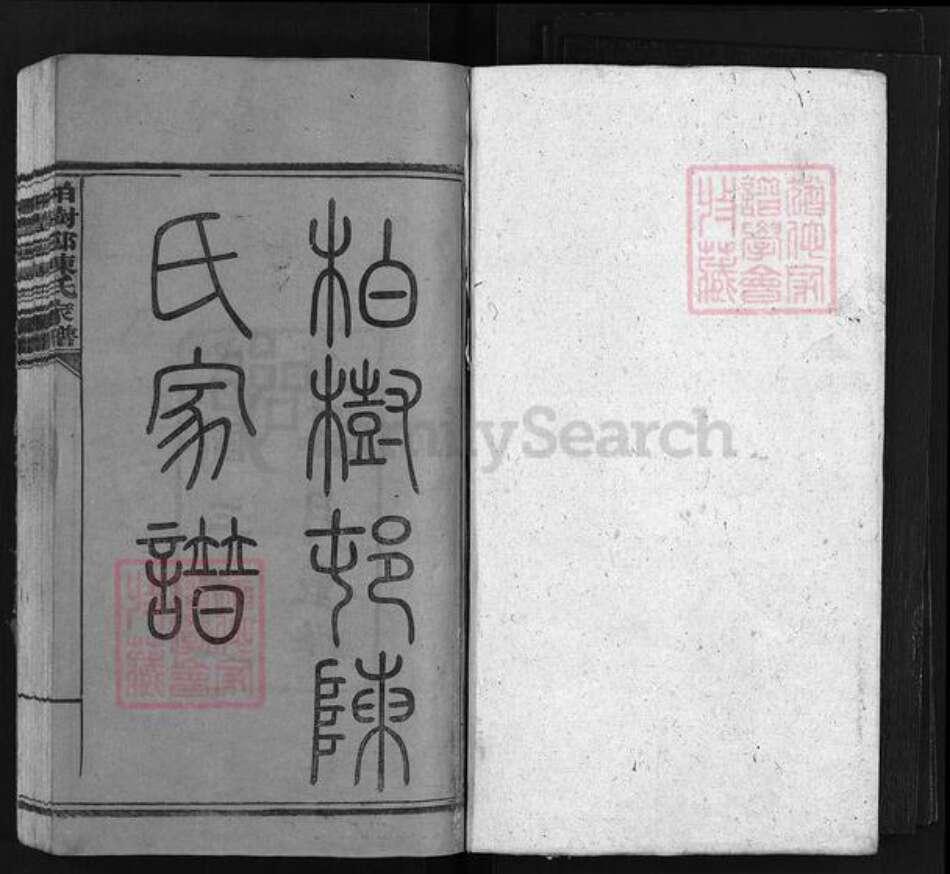 湖南省长沙市浏阳市浏阳陈氏族谱-柏树邨陈氏家谱 [14卷].pdf电子版预览图1