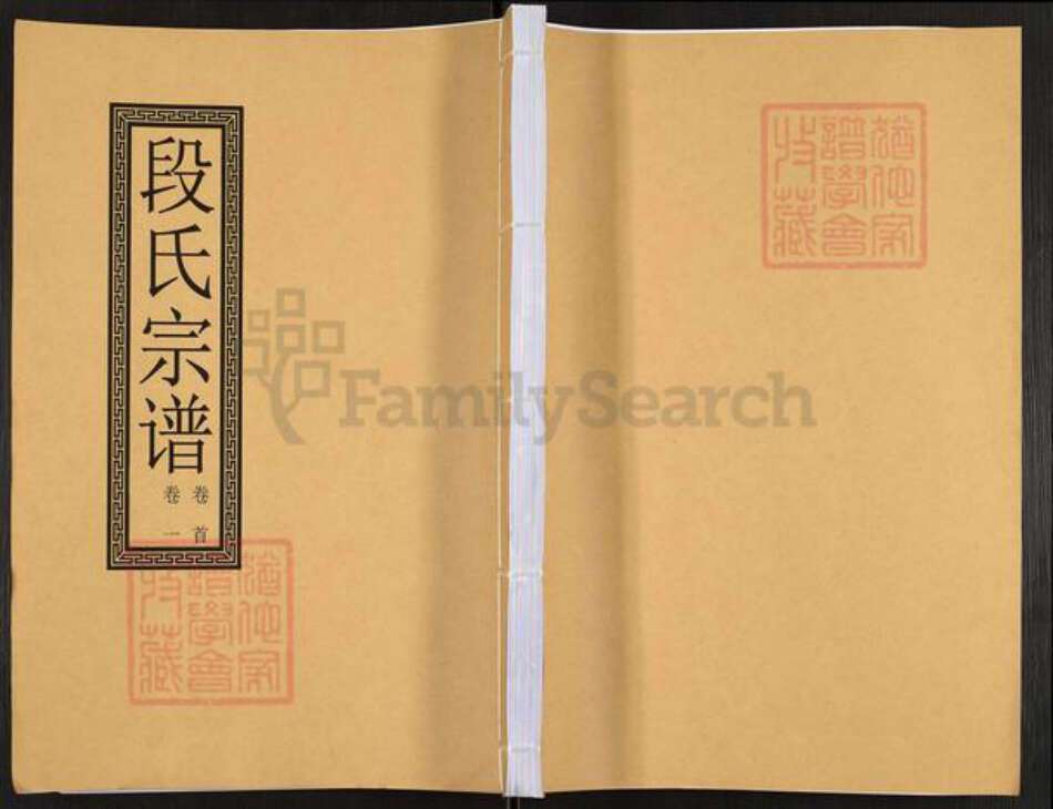 安徽省段氏族谱-段氏宗谱.pdf电子版缩略图