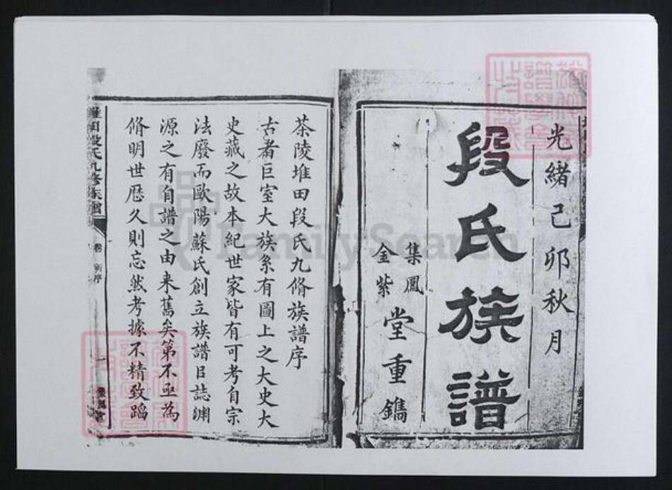 湖南省株洲市茶陵县段氏族谱-茶陵堆田段氏九修族谱 [10卷,首1卷].pdf电子版预览图1