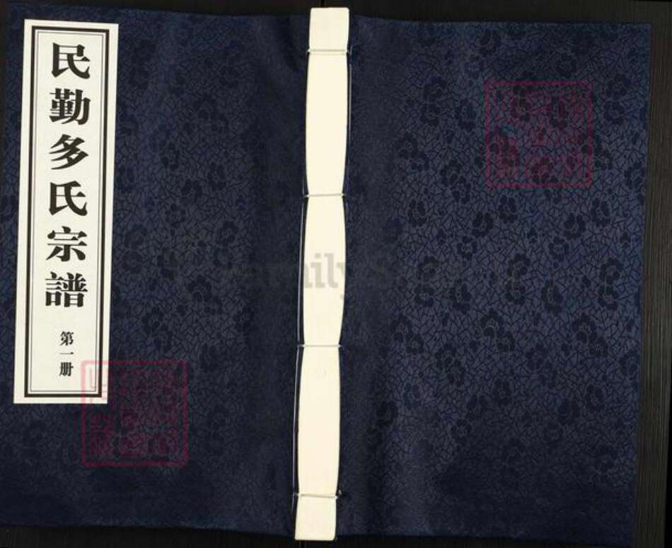 甘肃省武威民勤多氏族谱-民勤多氏宗谱.pdf电子版缩略图