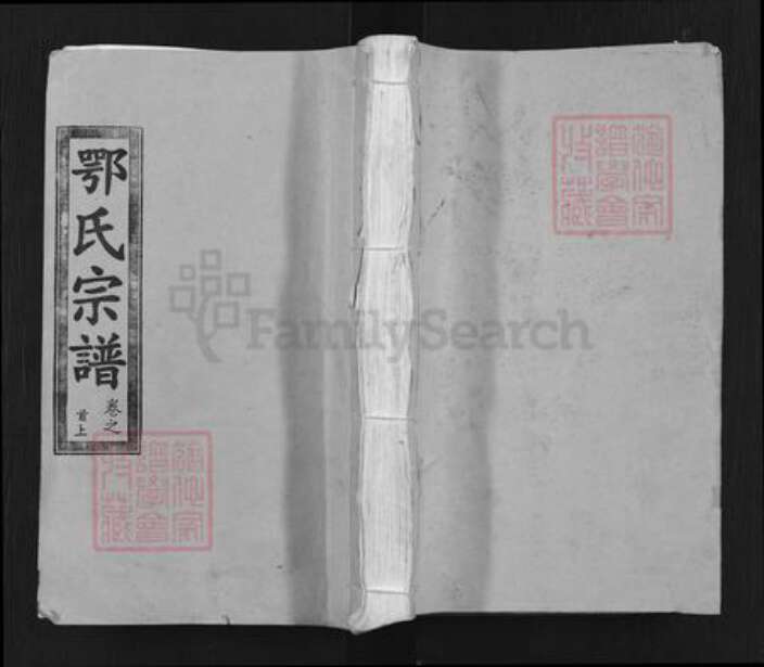 湖北省武汉市新洲区凤凰镇鄂氏进贤堂族谱-鄂氏宗谱.pdf电子版