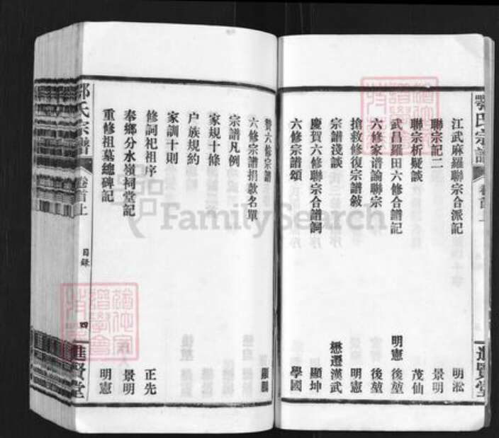 湖北省武汉市新洲区凤凰镇鄂氏进贤堂族谱-鄂氏宗谱.pdf电子版预览图4