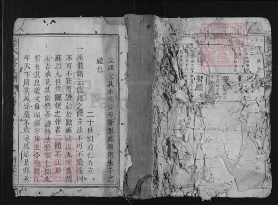 江西省吉安市永新县禾川樊氏明韾堂族谱-樊氏九修族谱.pdf电子版缩略图