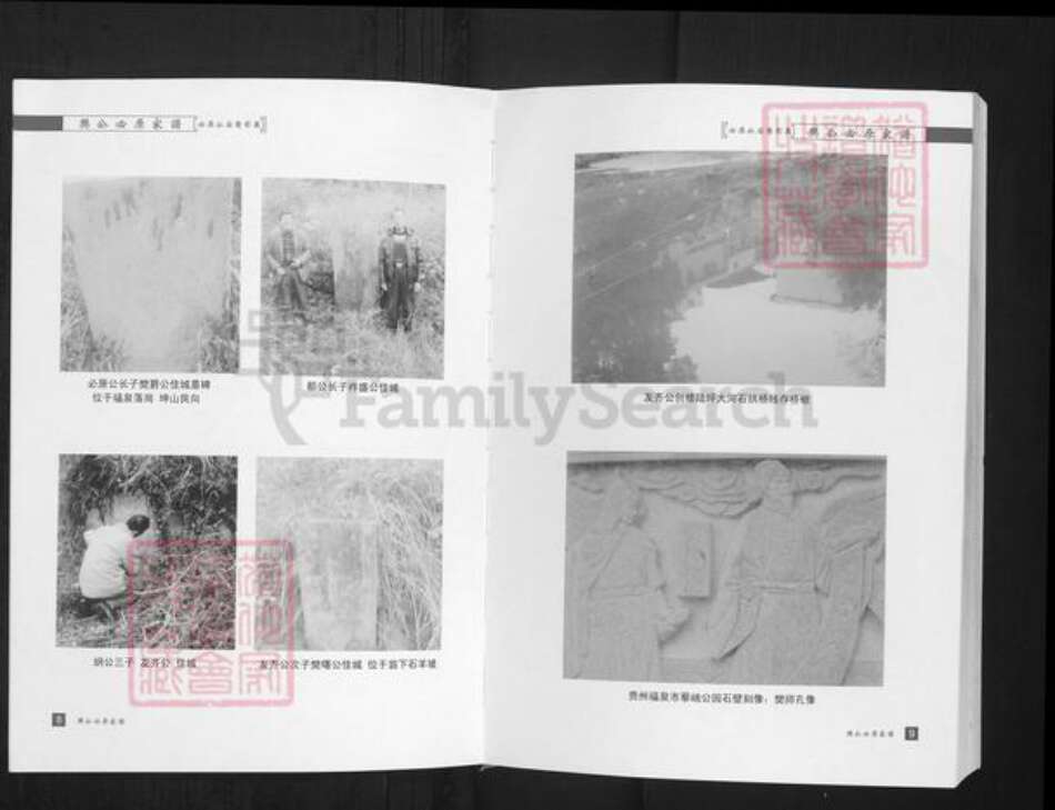 贵州省黔南布依族苗族自治州市福泉市樊氏舞阳堂族谱-樊公必原家谱.pdf电子版预览图5
