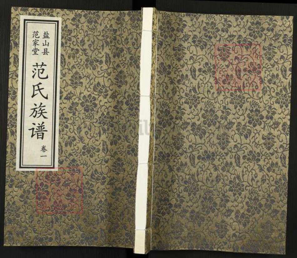 山东省滨州市沾化区范氏族谱-盐山县范家堂范氏族谱.pdf电子版缩略图