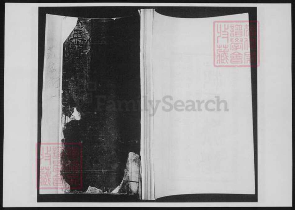 山东省青岛市即墨区范氏族谱-即墨范家街-范氏族谱.pdf电子版缩略图