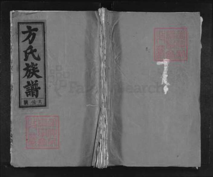 安徽省安庆市望江县长岭镇方氏保和堂族谱-方氏族谱.pdf电子版缩略图