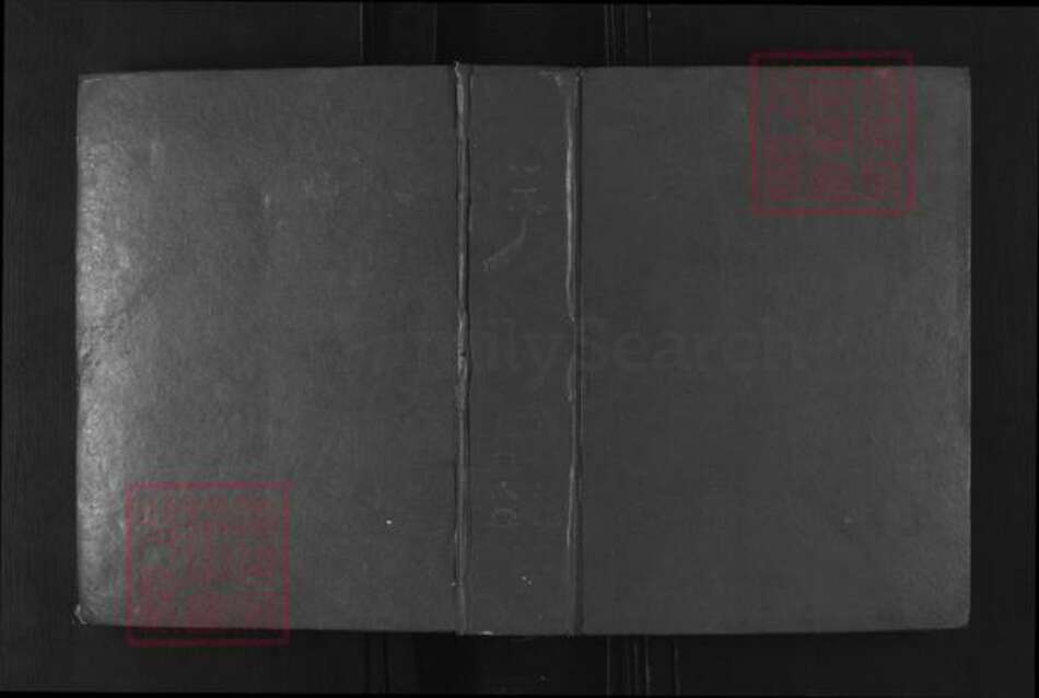 湖北省孝感市大悟县新城镇方氏至人堂族谱-方氏族谱.pdf电子版缩略图