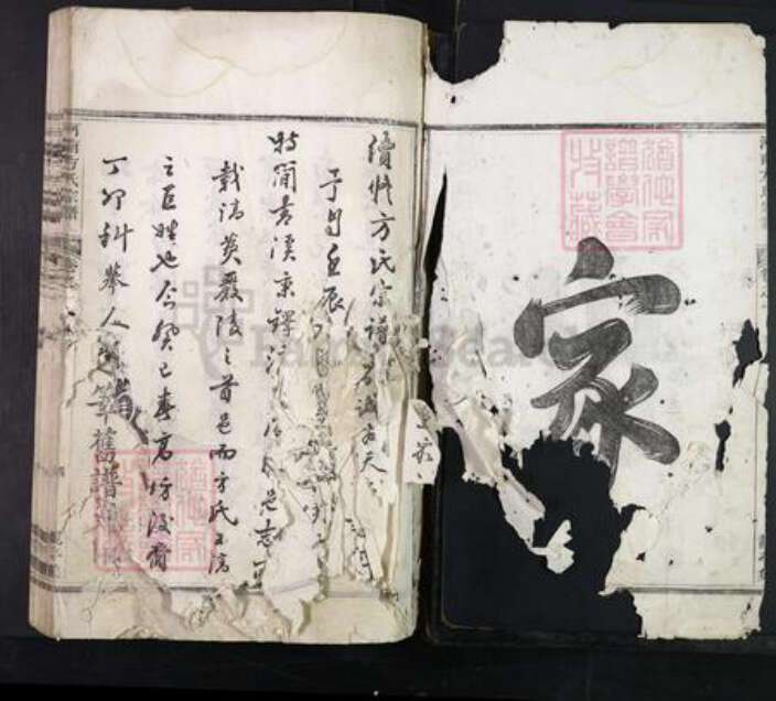 浙江省杭州市淳安县县方氏族谱-河南方氏宗谱.pdf电子版预览图2