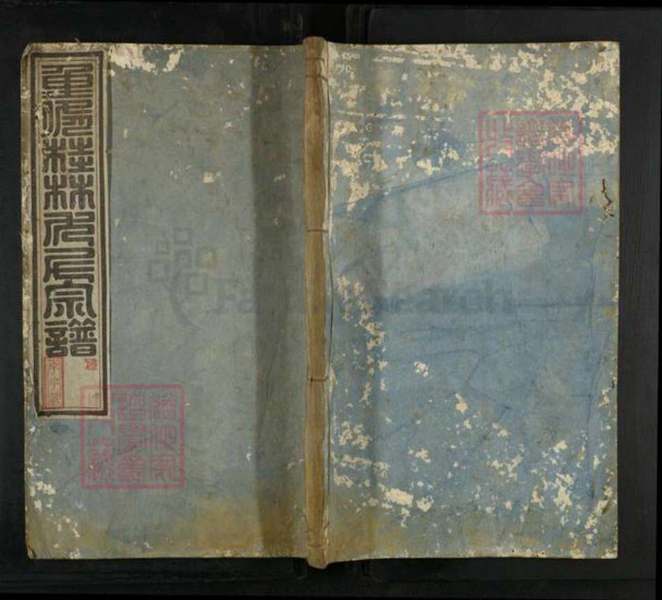 浙江省杭州市淳安县县方氏族谱-桂林方氏宗谱.pdf电子版缩略图