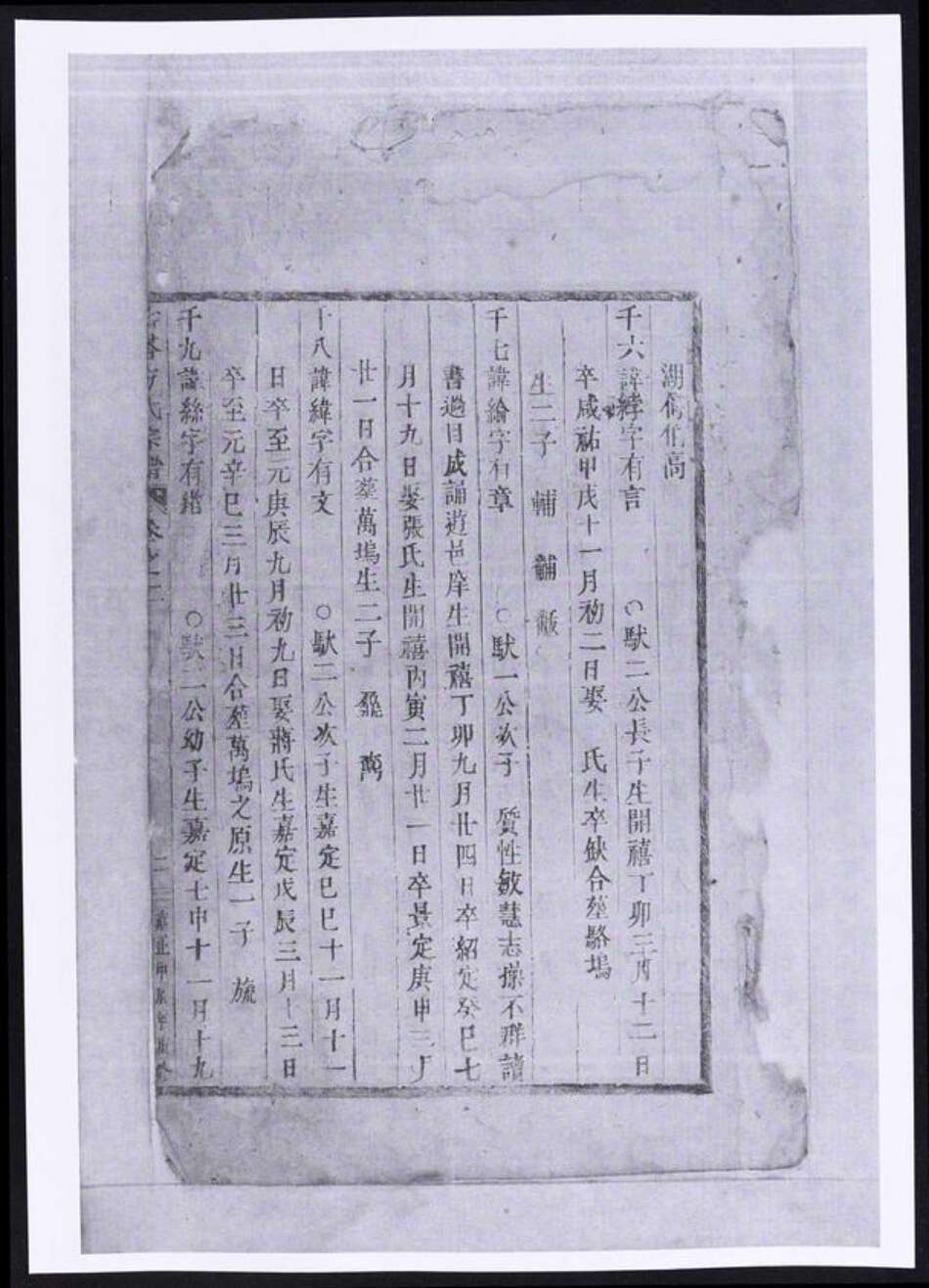 浙江省金华市东阳市东阳方氏族谱-寿塔方氏宗谱.pdf电子版预览图1