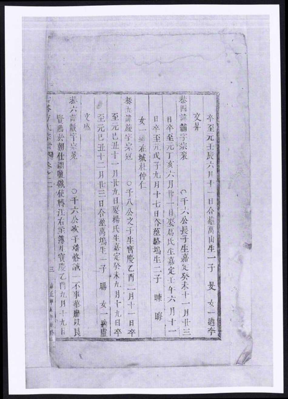 浙江省金华市东阳市东阳方氏族谱-寿塔方氏宗谱.pdf电子版预览图3