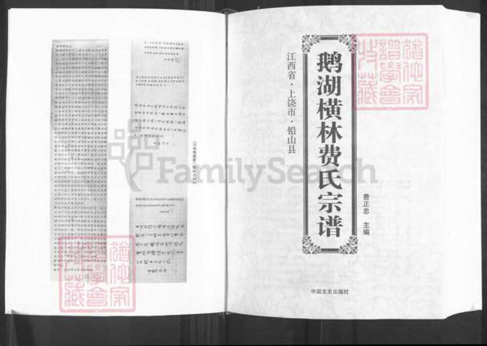 江西省上饶市铅山县汪二镇费氏族谱-鹅湖横林费氏宗谱.pdf电子版预览图5