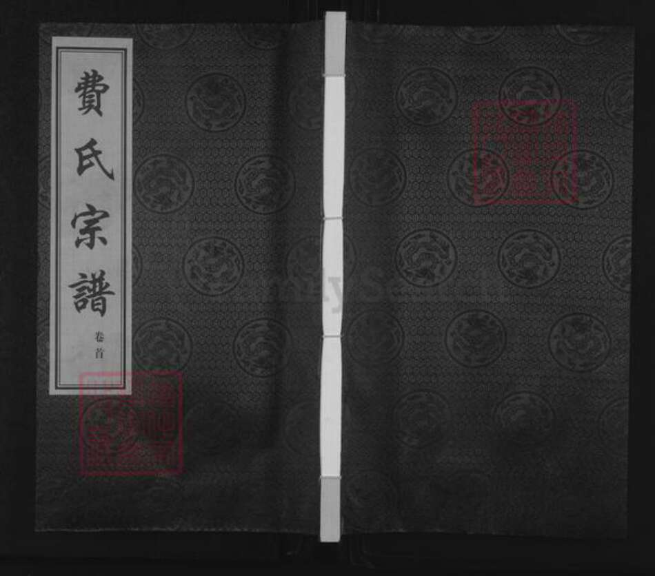 江苏省常州市武进县横林镇费氏尚志堂族谱-费氏宗谱.pdf电子版缩略图