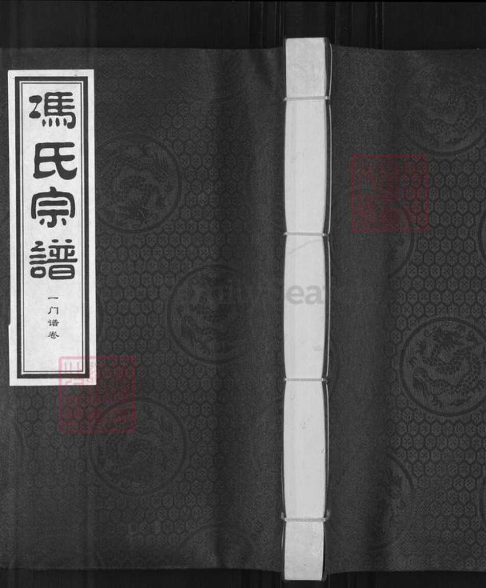 河北省沧州盐山县冯氏族谱-冯氏宗谱.pdf电子版缩略图