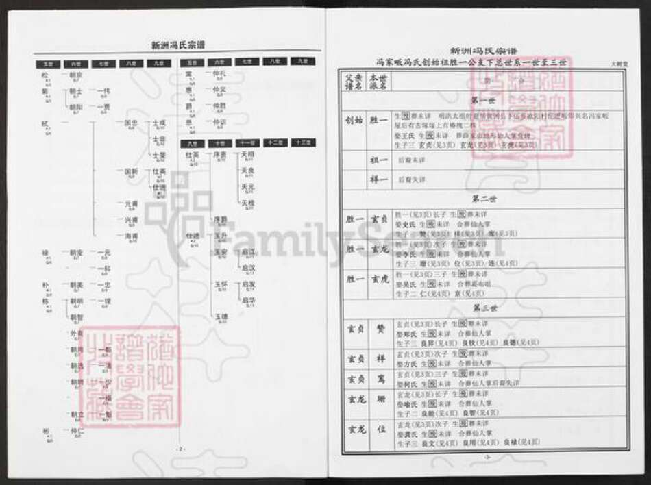 湖北省武汉市新洲区冯氏大树堂族谱-新洲冯氏宗谱.pdf电子版预览图4