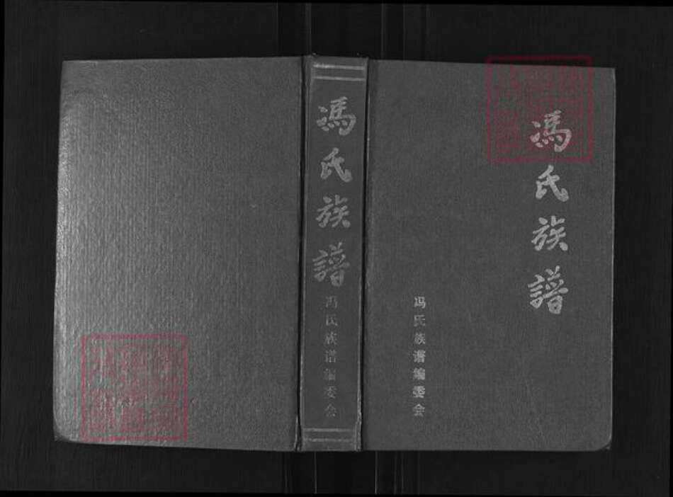 四川省广安市邻水县冯氏族谱-冯氏族谱.pdf电子版缩略图