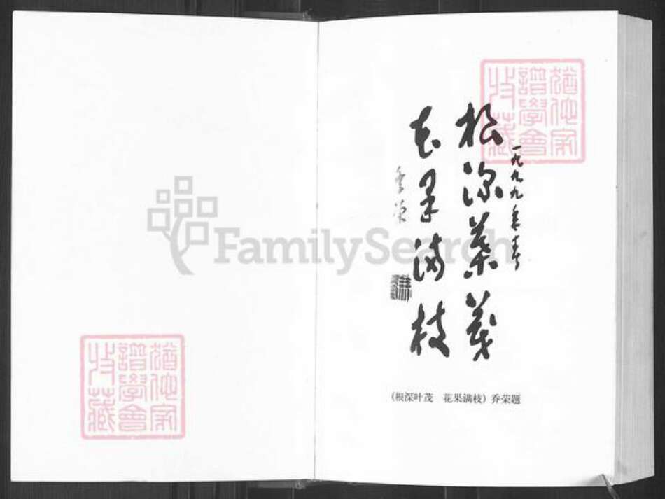 四川省广安市邻水县冯氏族谱-冯氏族谱.pdf电子版预览图2