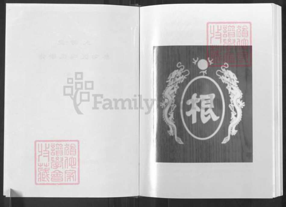 湖北省武汉市蔡甸区冯氏大树堂族谱-蔡甸冯氏宗谱.pdf电子版预览图3