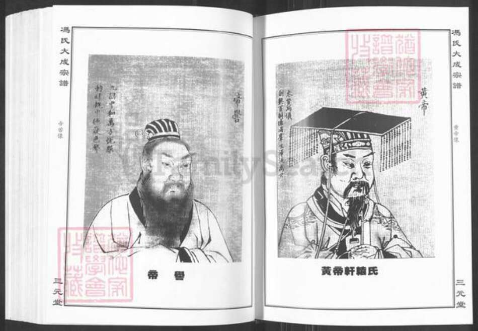 湖北省黄石市大冶市保安镇冯氏三元堂族谱-冯氏大成宗谱.pdf电子版预览图2