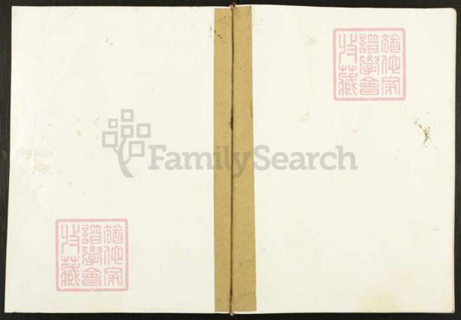 重庆市垫江县冯氏大树堂族谱-垫江县冯氏撰谱.pdf电子版缩略图