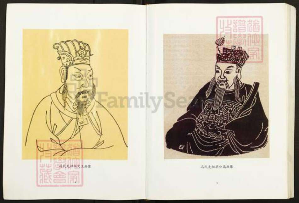 重庆市垫江县冯氏大树堂族谱-垫江县冯氏撰谱.pdf电子版预览图2