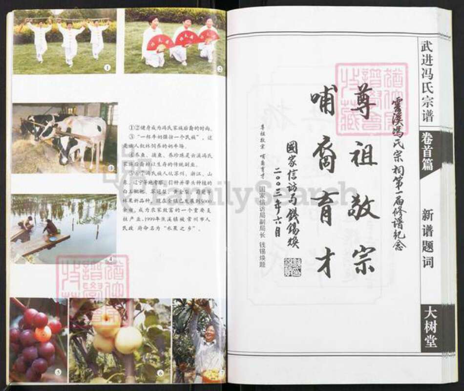 江苏省常州市天宁区郑陆镇冯氏大树堂族谱-武进云溪冯氏宗谱.pdf电子版预览图3