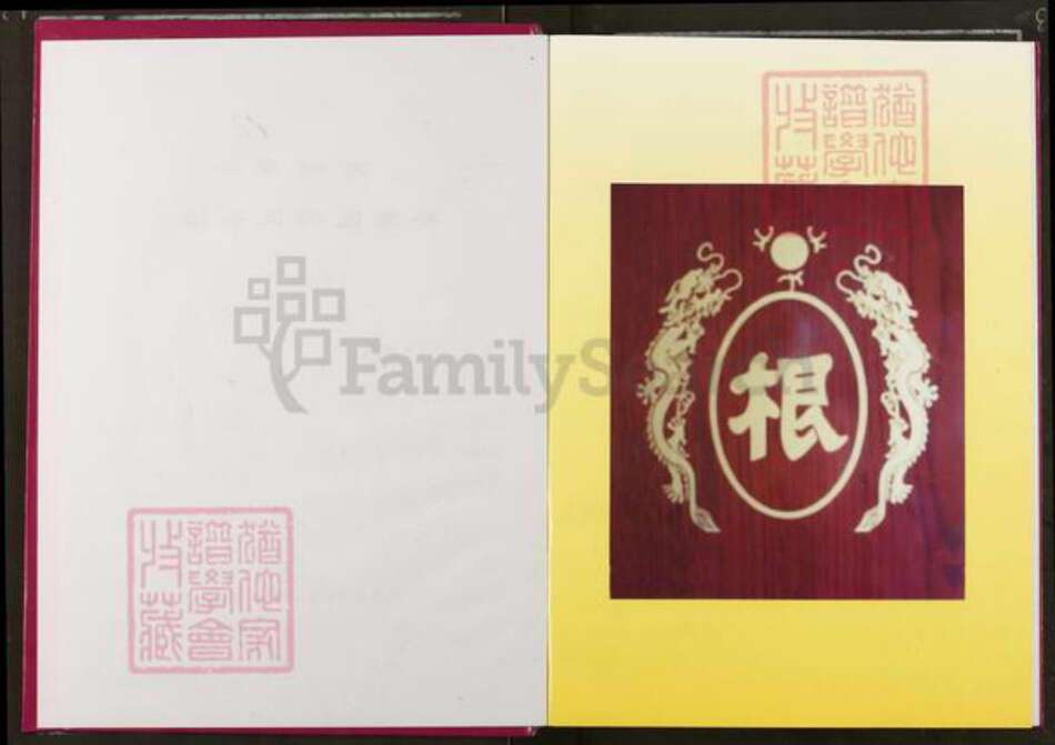 湖北省武汉市蔡甸区冯氏大树堂族谱-蔡甸区冯氏宗谱.pdf电子版预览图2