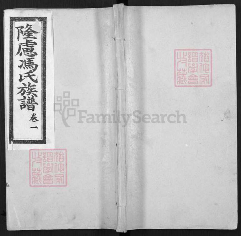 河南省安阳市林州市五龙镇冯氏族谱-隆虑冯氏族谱.pdf电子版缩略图