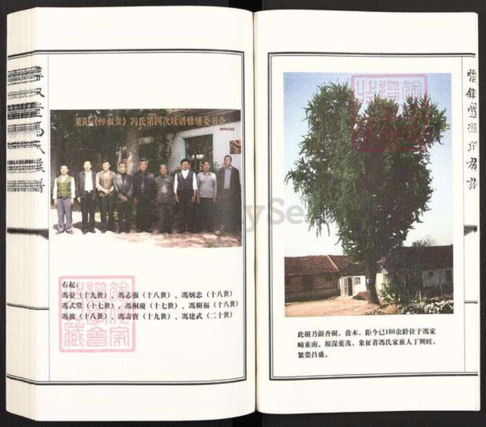 山东省烟台市莱阳市古柳街道冯氏惇叙堂族谱-莱阳惇叙堂冯氏族谱.pdf电子版预览图3