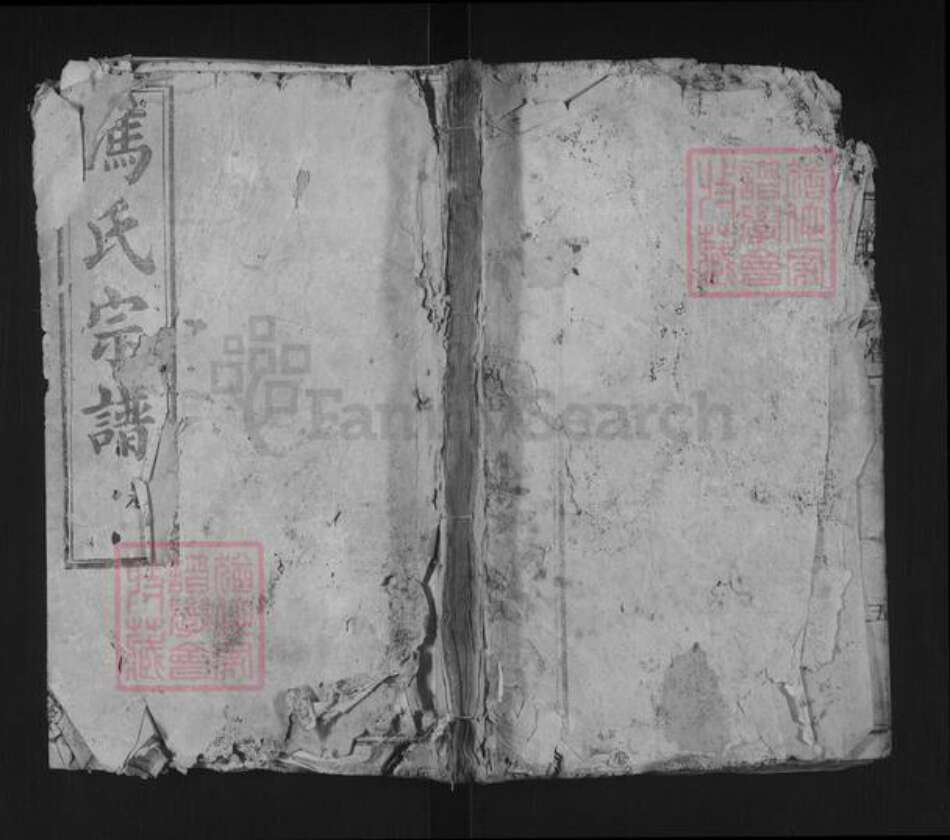 湖北省武汉市新洲区冯氏大树堂族谱-冯氏宗谱.pdf电子版缩略图