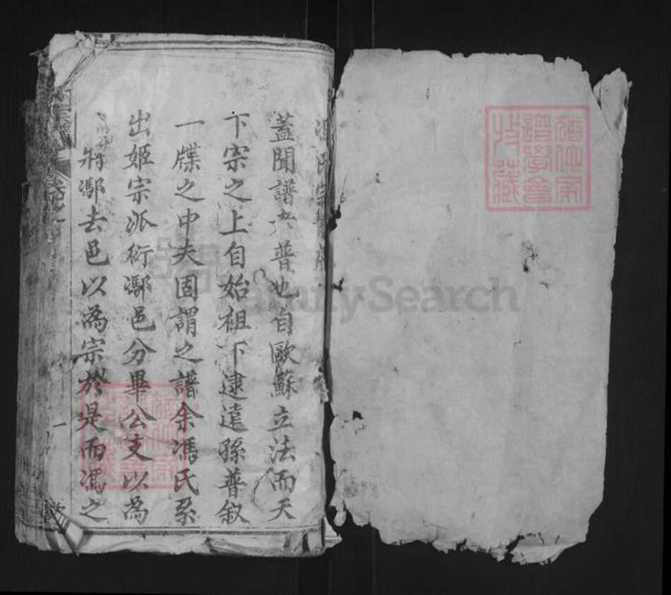 湖北省武汉市新洲区冯氏大树堂族谱-冯氏宗谱.pdf电子版预览图1