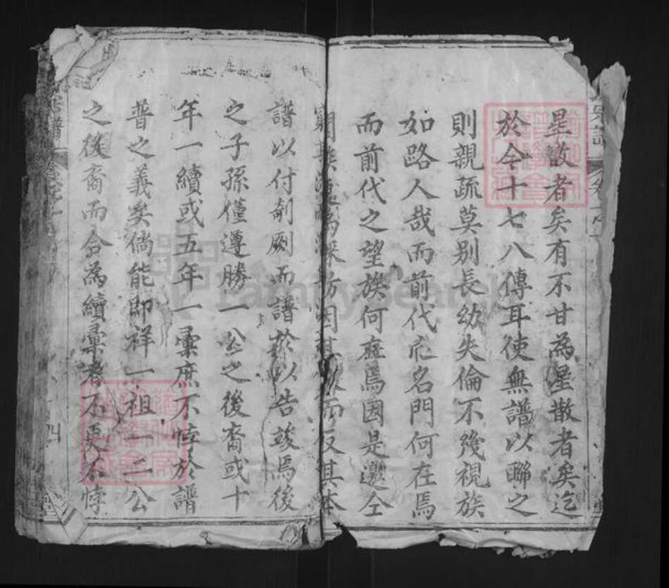 湖北省武汉市新洲区冯氏大树堂族谱-冯氏宗谱.pdf电子版预览图2