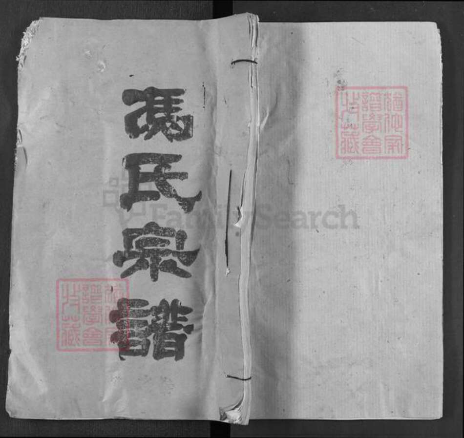 湖北省武汉市新洲区冯氏致远堂族谱-冯氏宗谱.pdf电子版缩略图