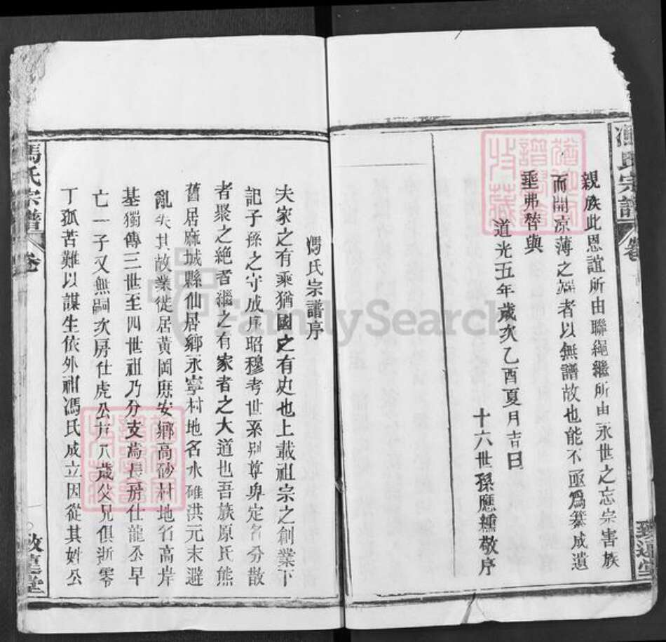 湖北省武汉市新洲区冯氏致远堂族谱-冯氏宗谱.pdf电子版预览图4