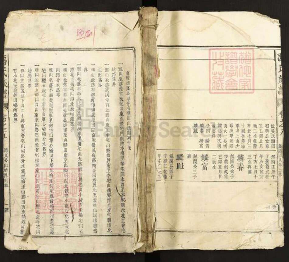 江西省冯氏族谱-冯氏族谱.pdf电子版缩略图