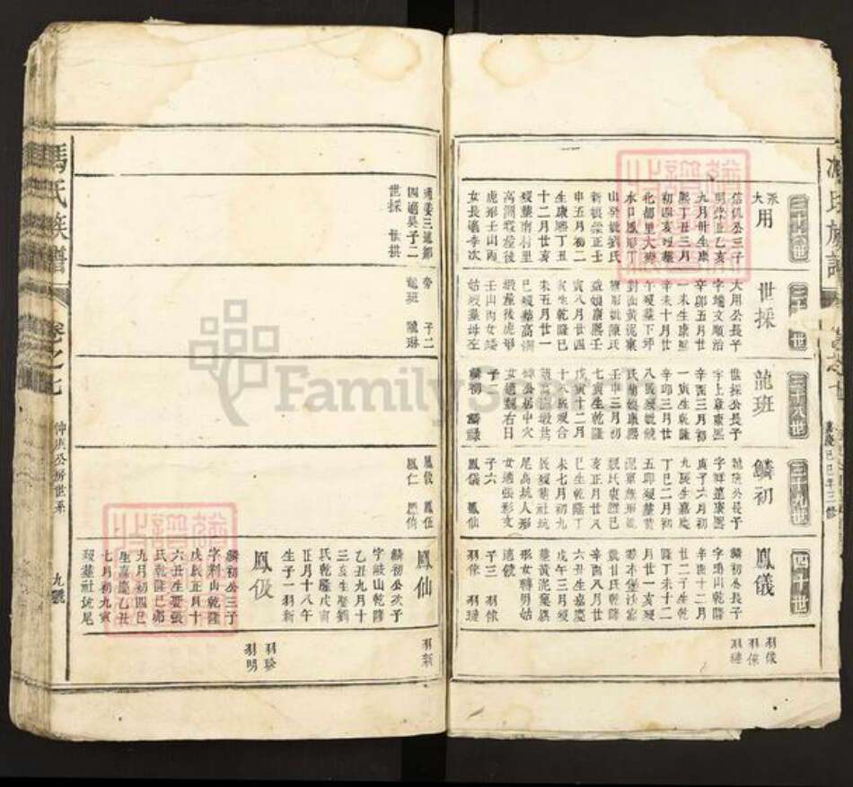 江西省冯氏族谱-冯氏族谱.pdf电子版预览图5