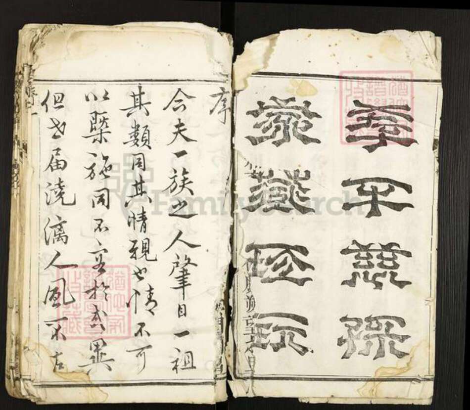 江苏省扬州市广陵区冯氏大树堂族谱-冯氏族谱.pdf电子版预览图3