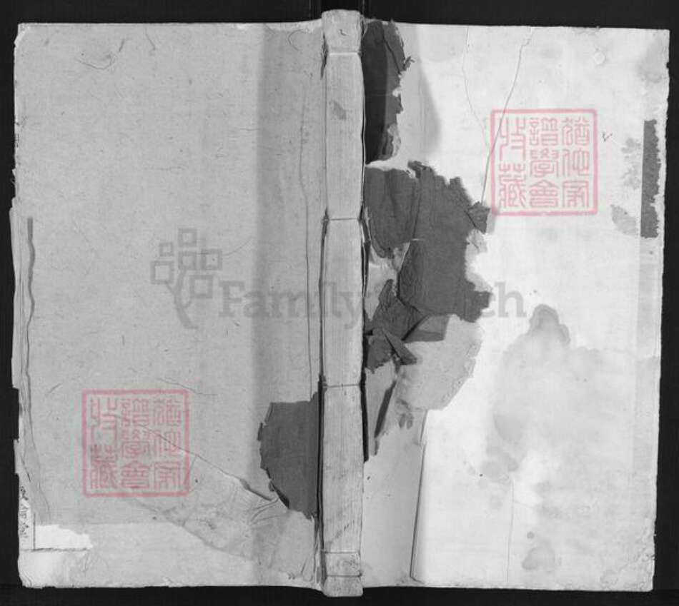 安徽省芜湖市南陵县许镇冯氏叙伦堂族谱-冯氏宗谱.pdf电子版缩略图