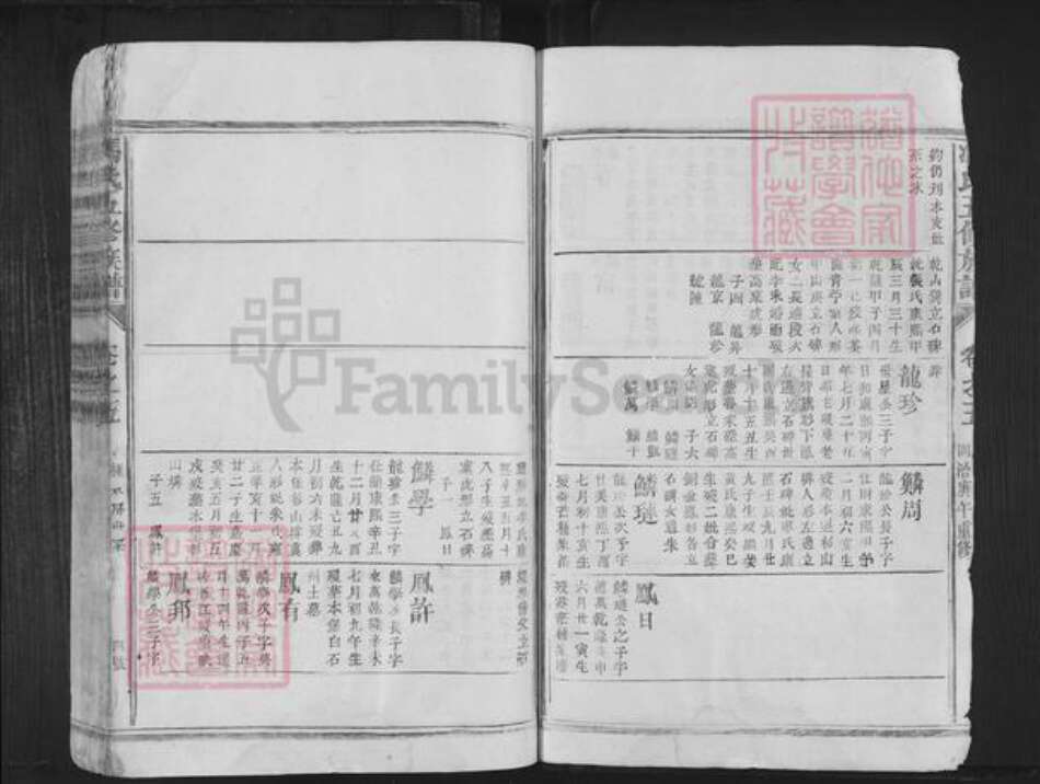 江西省抚州市南丰县洽湾镇冯氏族谱-冯氏五修族谱.pdf电子版预览图4