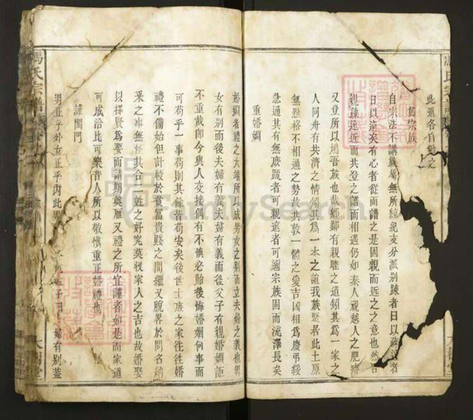 安徽省安庆市宿松县冯氏大树堂族谱-冯氏宗谱.pdf电子版预览图1