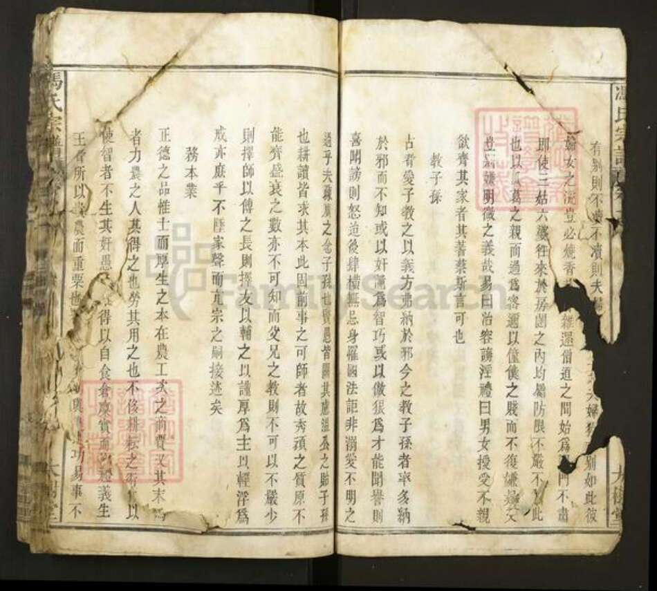 安徽省安庆市宿松县冯氏大树堂族谱-冯氏宗谱.pdf电子版预览图2