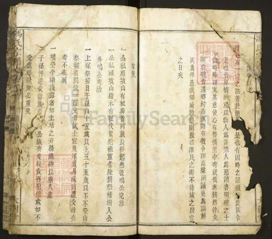 安徽省安庆市宿松县冯氏大树堂族谱-冯氏宗谱.pdf电子版预览图5