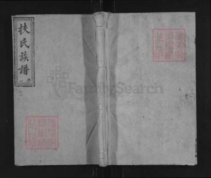 湖南省郴州市桂东县寨前镇扶氏大经堂族谱-桂东扶氏族谱.pdf电子版