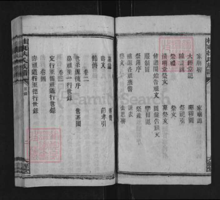 湖南省郴州市桂东县寨前镇扶氏大经堂族谱-桂东扶氏族谱.pdf电子版预览图2