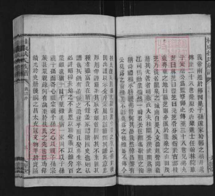 湖南省郴州市桂东县寨前镇扶氏大经堂族谱-桂东扶氏族谱.pdf电子版预览图5