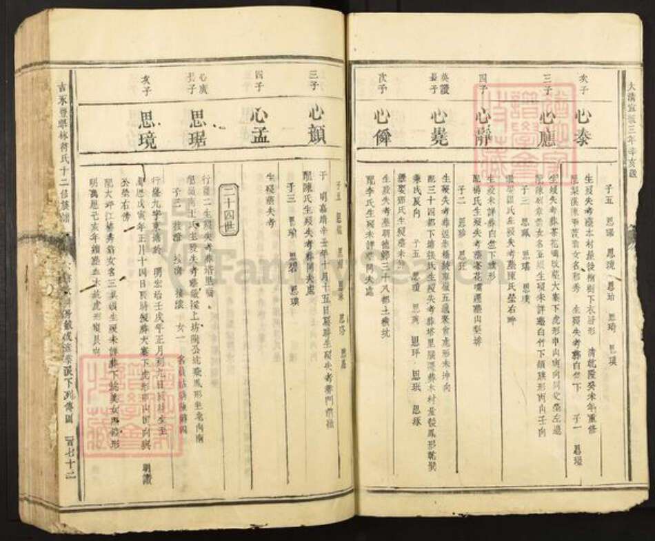 江西省吉安市永丰县符氏族谱-吉永丰举林符氏十二修族谱.pdf电子版预览图5